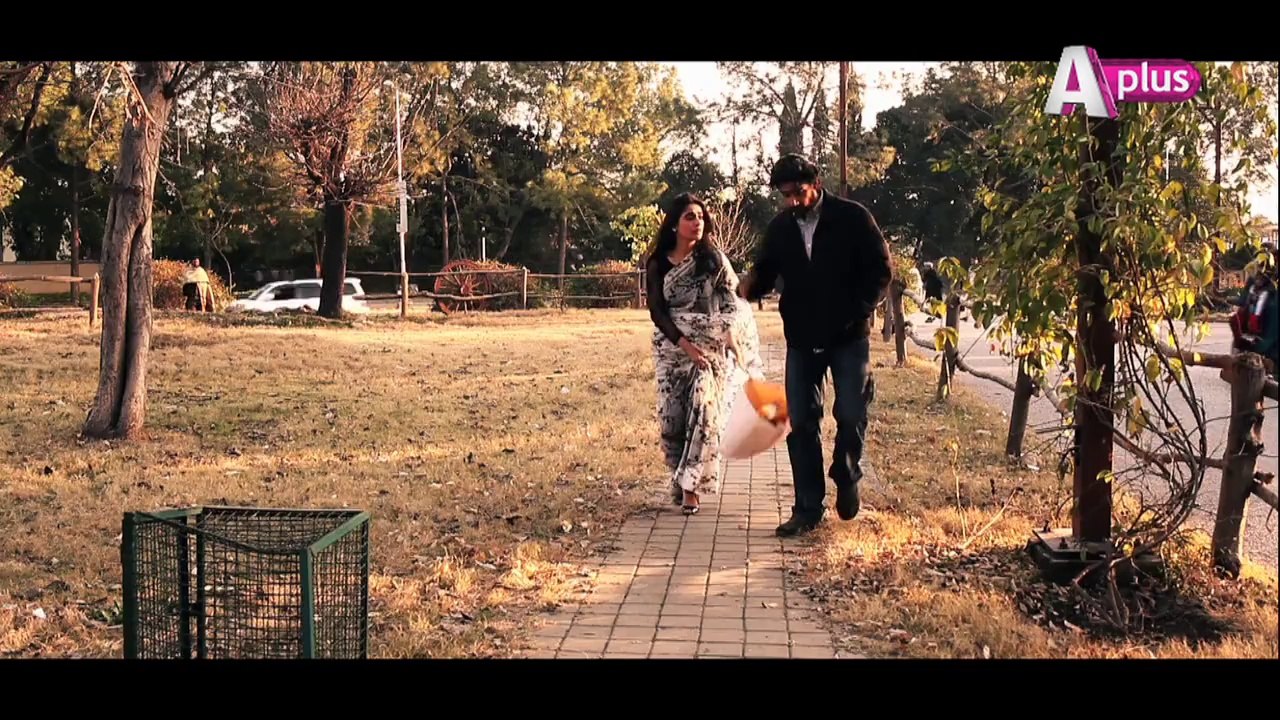 Pehchan Episode 13 Promo - DramasNet