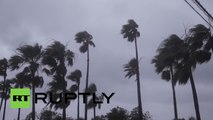 Japan: Typhoon Neoguri thrashes Kagoshima prefecture