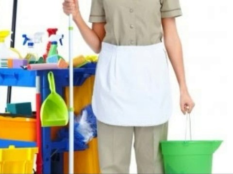 Cleaners eastern suburbs