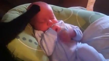 Sevimli bebek ve muzur kedi