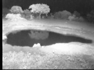 Stormy Night_2007_02_06 0030