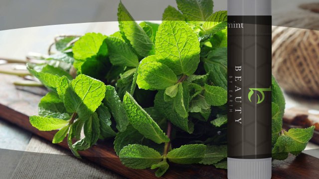 Lip Balm, All Natural New Product Revealed - Beauty By Earth
