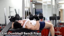 Flat Dumbbell Bench Press đẩy ngực tạ đôi đúng kỹ thuật thể hình
