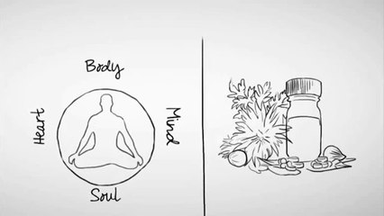 The Alkaline Diet Review -- Learn The Truth About The Alkaline Diet