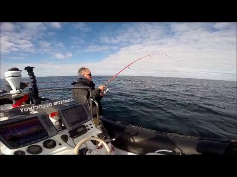 Pêche du bar au leurre souple - 2014 - Guidages du côté des Iles Glénan et Loctudy