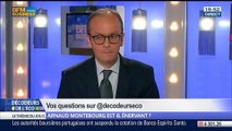 Arnaud Montebourg est-il énervant ?, dans Les Décodeurs de l'éco – 10/07 3/5