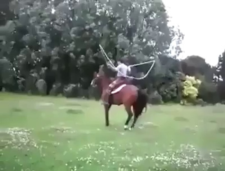 Amazing Horse Rope Jump