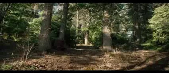 Ocalony Caly Film Online