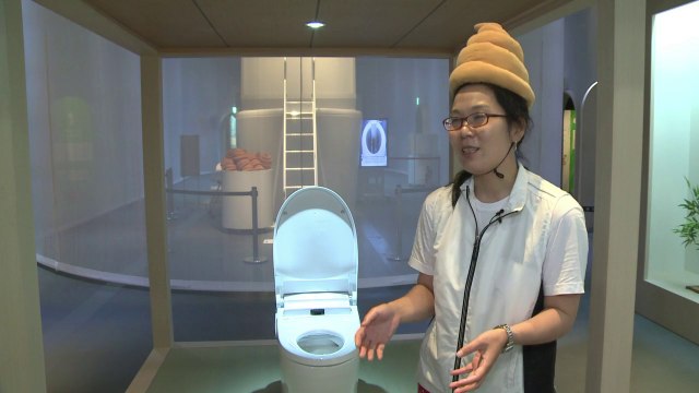 Heces y retretes en exposición