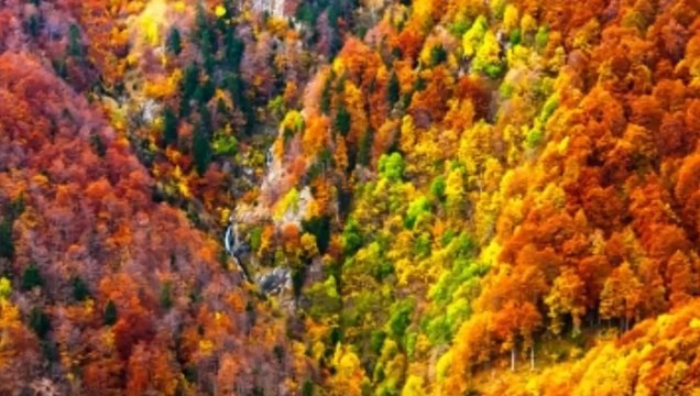 Musica de adoracion instrumental, musica para orar, musica cristiana