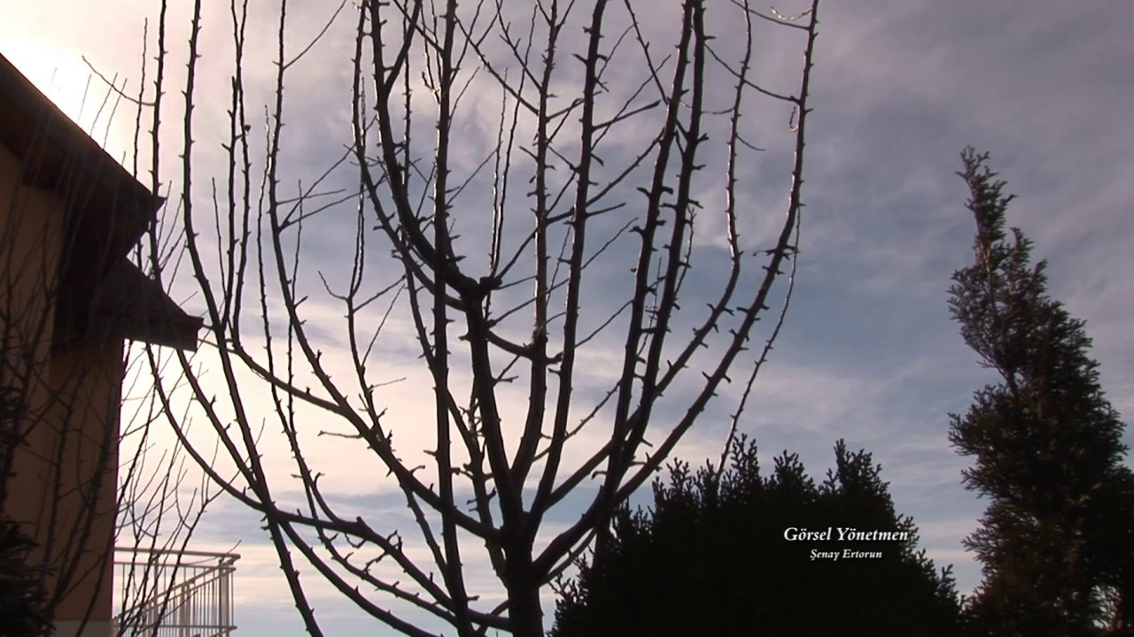 Timelapse 5: Kocaeli / Atakent - Türkiye 2013