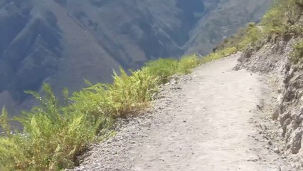 Action 15 - Canyon del Colca
