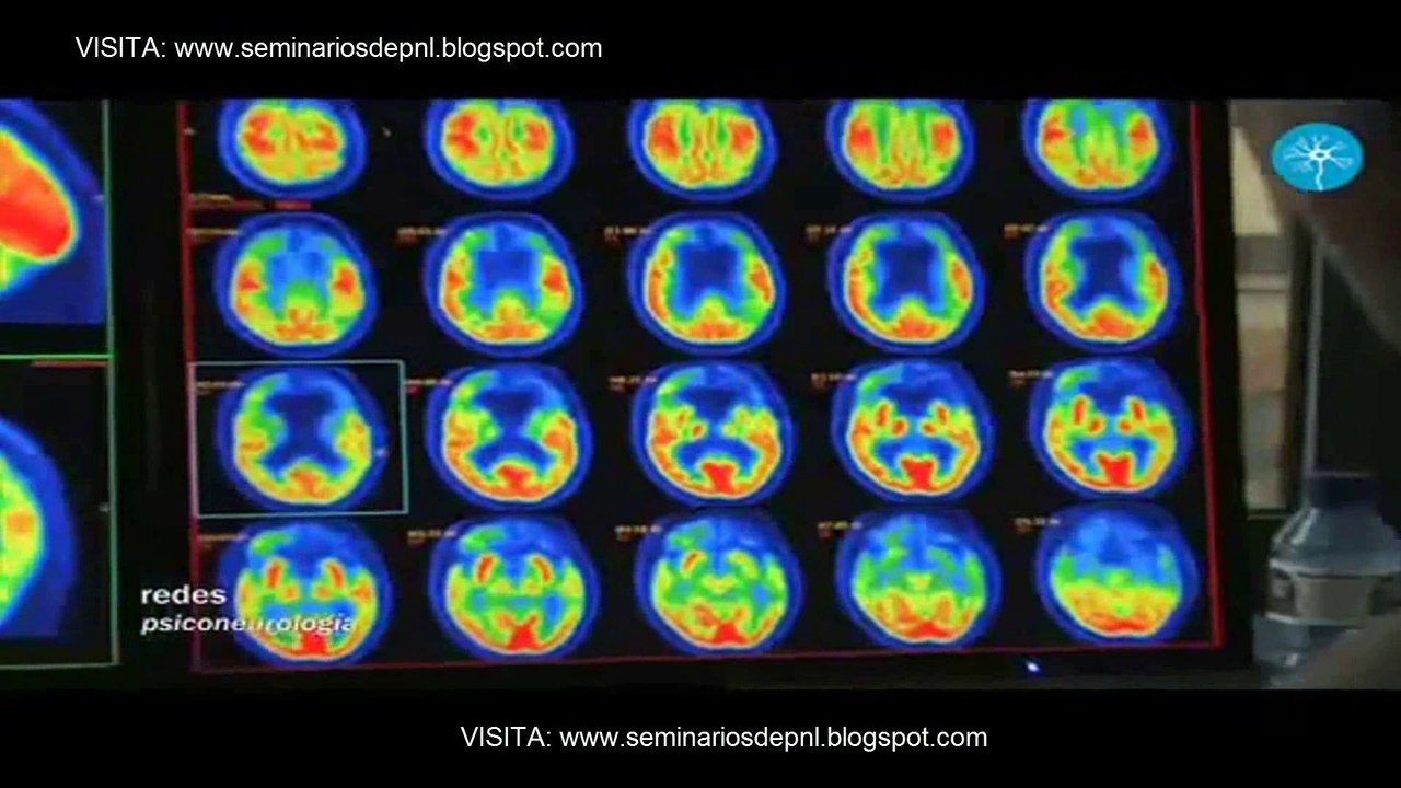 Pon En Forma Tu Cerebro SOLO EN 21 DIAS
