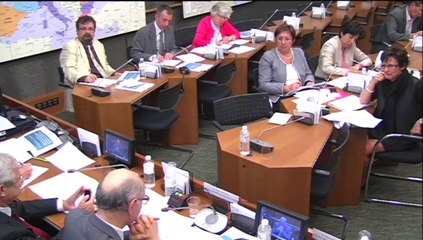 M. Didier Migaud, Premier pdt de la Cour des comptes, sur l’évaluation du développement des services à la personne - Jeudi 10 Juillet 2014