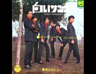 白いサンゴ礁・・ズーニーヴ　