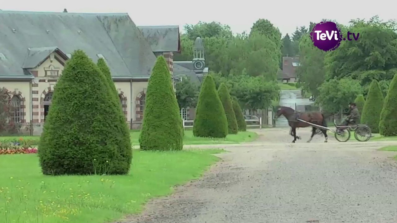 Jeux équestres mondiaux à Saint-Lô [TéVi] 14-07-14