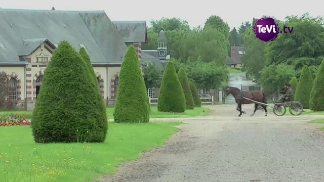 Jeux équestres mondiaux à Saint-Lô [TéVi] 14-07-14