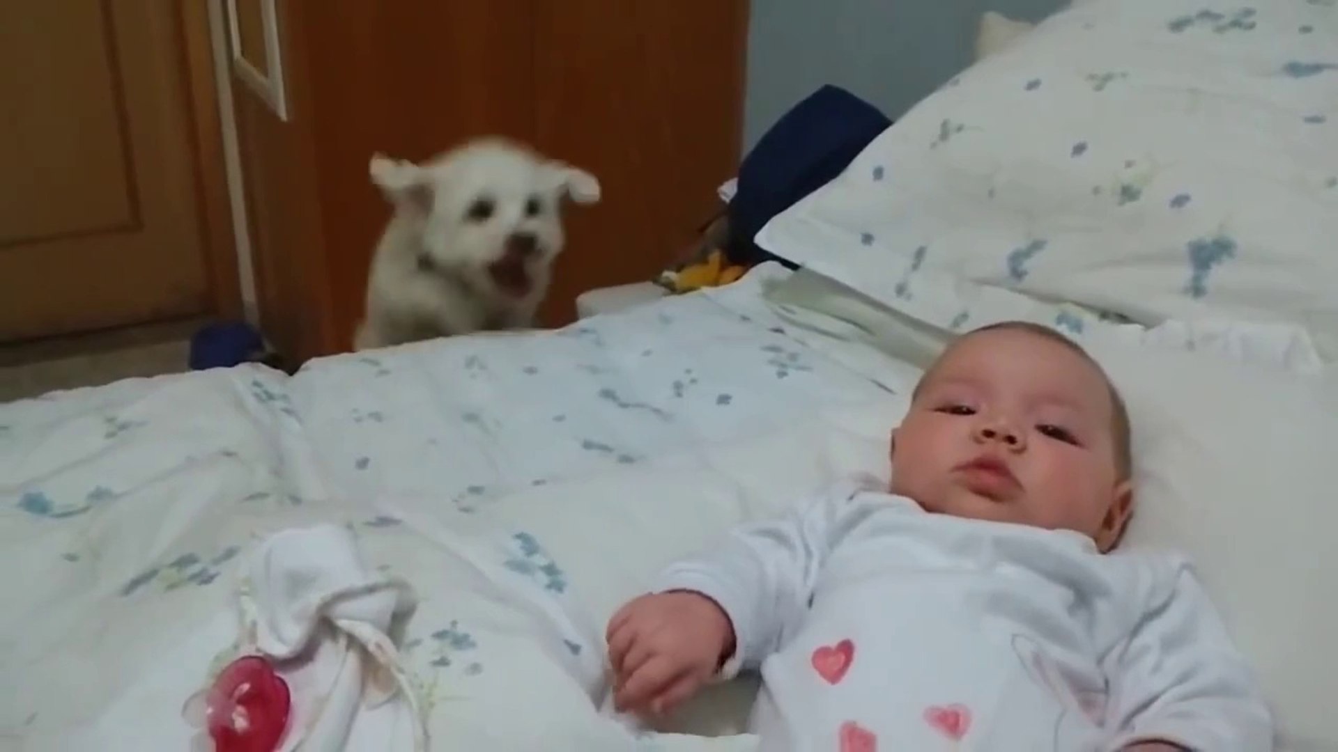 Chien Curieux Veut Voir Le Nouveau Bebe Trop Drole Video Dailymotion