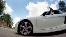 Un chien fan de Porsche... Belle balade pour le toutou.