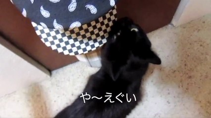 しおちゃんの「きたな〜い」を日本商工リサーチTheo says _gross_