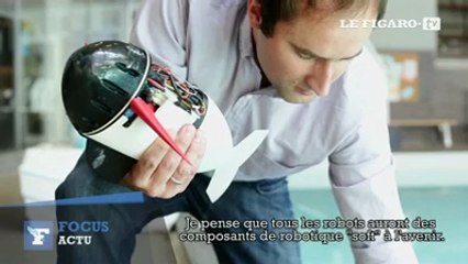 Un robot-poisson (presque) aussi vrai que nature