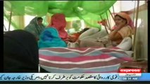 Dengue patients climb to 700 in Swat sherin zada express news swat