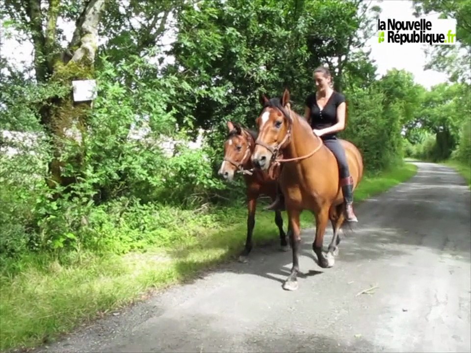 VIDEO. Sabrina Lepienne dresseuse de chevaux en liberté à Priaires