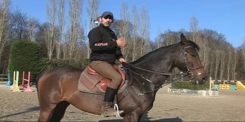 Cheval Pratique - Actu pdts enrênement capucine