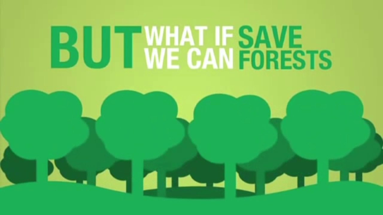 Save Forests