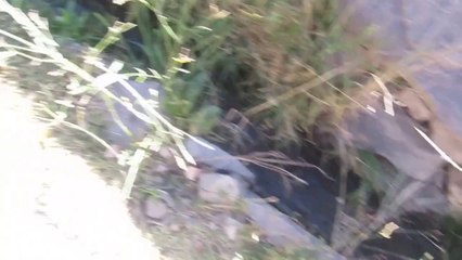 Paysage 23 - Canyon del Colca Ruisseau