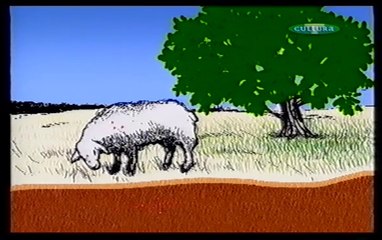 La Saga De Los Nobel 5 - De La Vacuna Al Antibiotico