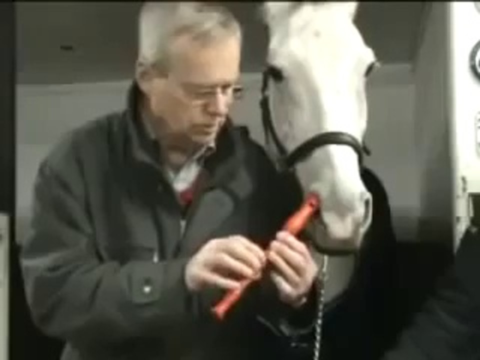 Beautiful Horse Play Flute