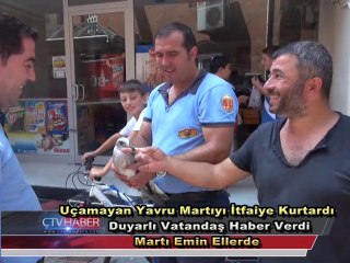 Martı Kurtarma Operasyonu