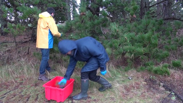 PRESENTATION_LASEM_2014ight sentation LASEM