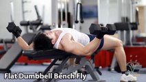 Incline Dumbbell Bench Fly Ép ngực trong bằng tạ đôi tập thể hình