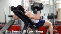 Incline Dumbbell Bench Press Đẩy ngực trên tạ đôi đúng kỹ thuật thể hình