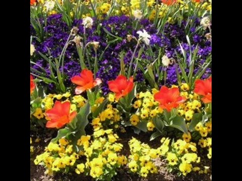 SAVAŞ OLMASIN Söz&Müzik ve Yorum: Hasan Kılıçatan