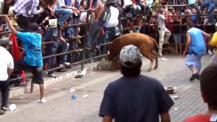Ne jamais embêter un taureau, jamais !