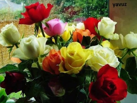 İBRAHIM TATLISES-ARGUVANLIM