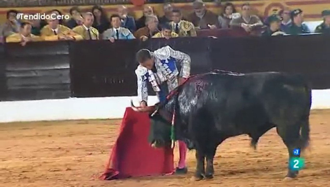 Olivenza 2014