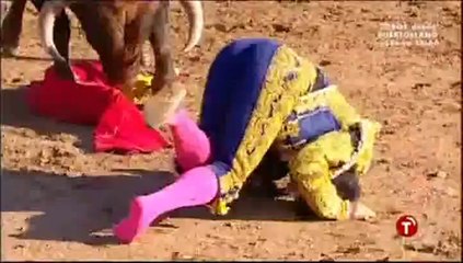 Cornada en Mora de Toledo