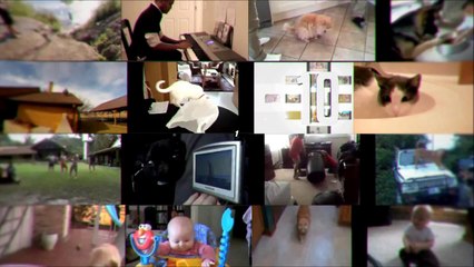 TOP 5 CAT VIDEOS #28