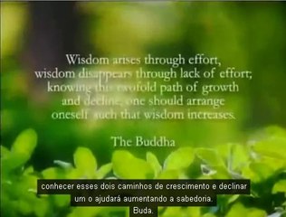 Como Meditar - Tecnicas fáceis (e excelentes) para serenar a mente.
