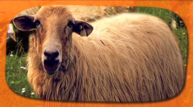 L’Instant gourmand Pur Brebis Pyrénées - Emission 2