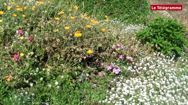 Chausey. Une journée entre terre et mer