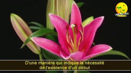 Superbe nachide: Les signes d'Allah Exalté Soit Il. #Abu Abdul Malik