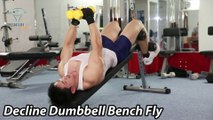 Decline Dumbbell Bench Fly Ép Ngực Trong với tạ đôi tập thể hình