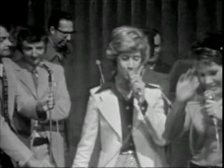 Les compagnons j'aimerais bien apprendre au monde