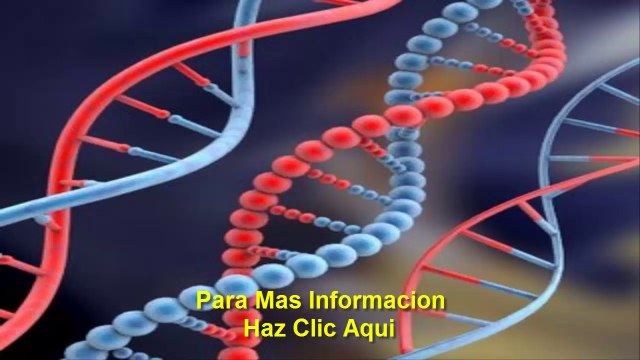 Diabetes Tipo 2 - Conocer Sus Niveles De Aminoacidos Podria Ayudar A Predecir La Enfermedad Cardiaca