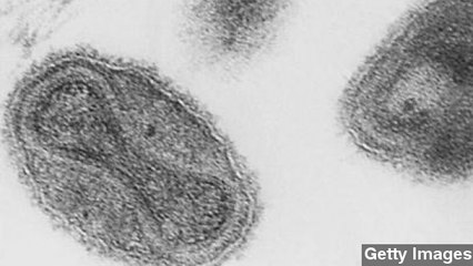 Long-Forgotten Smallpox Vials Found In FDA Storage Room